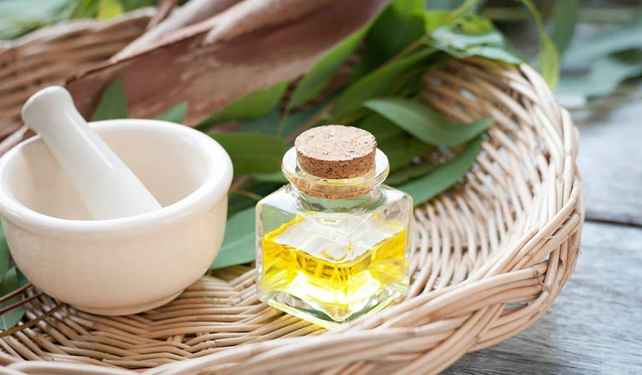 /uploads/image/2025/12/25/202512251121876698_7b349d02f1ba6458fa41e29ecaf6d0cc.jpg get-rid-of-canker-sores-quickly-and-naturally-large.jpg